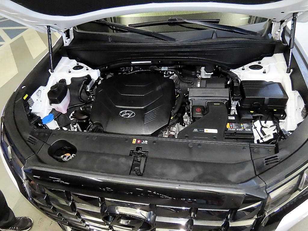 Hyundai Palisade — photo 19