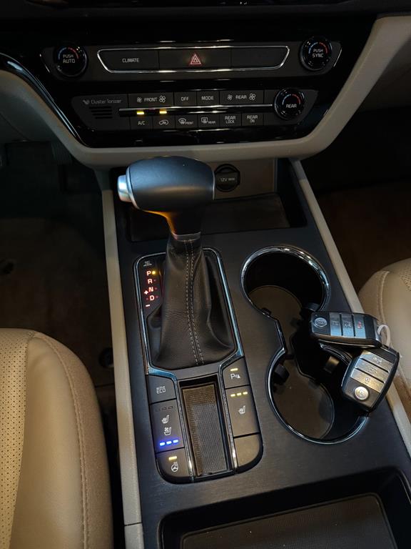 Kia Carnival — photo 13