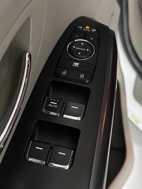 Kia Carnival — photo 14