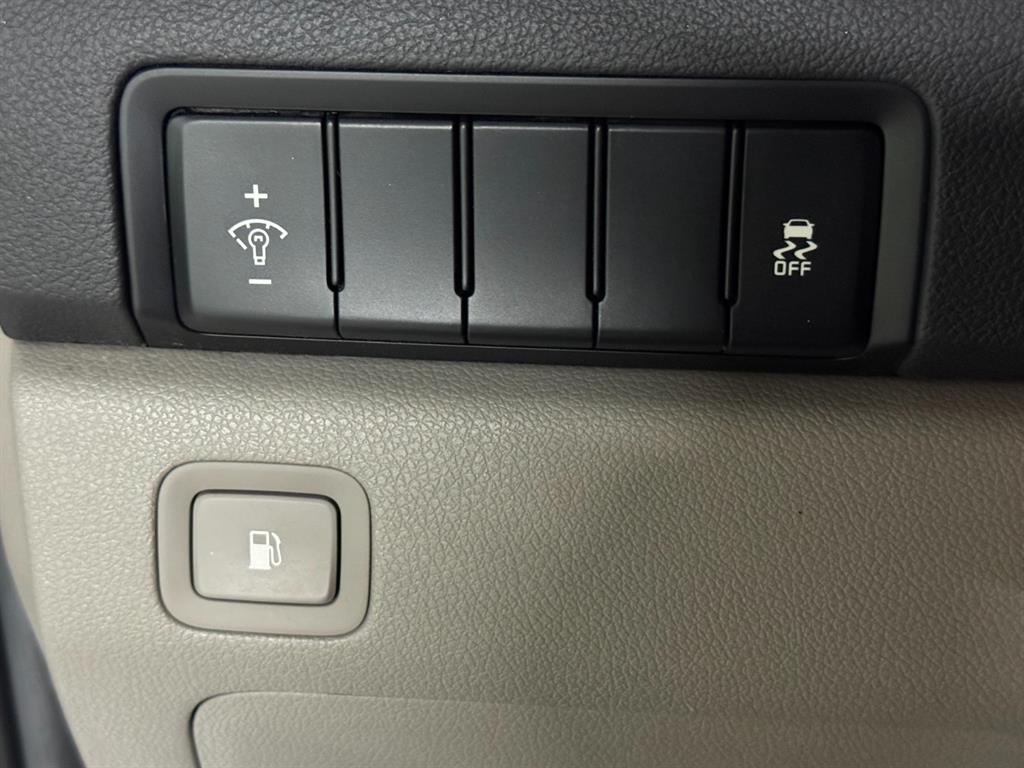 Kia Carnival — photo 15