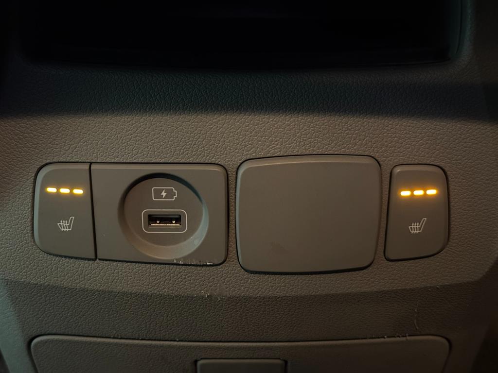 Kia Carnival — photo 16