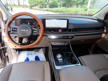 Kia Carnival — photo 08