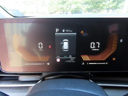 Kia Carnival — photo 10