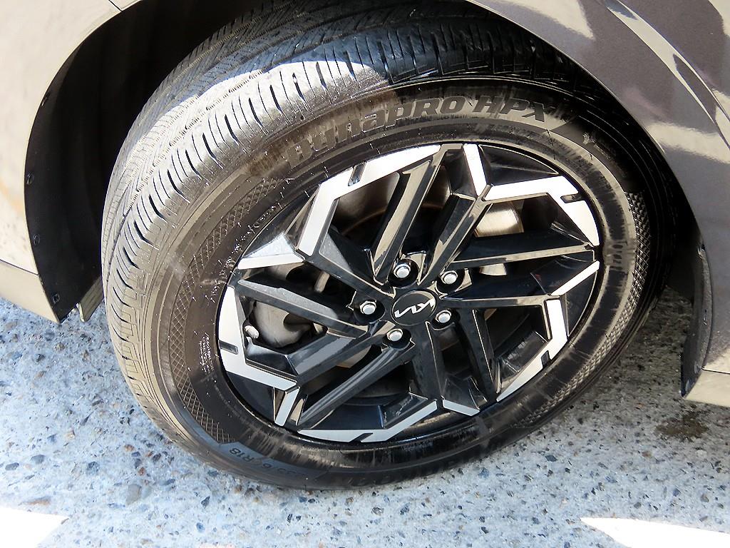 Kia Carnival — photo 20