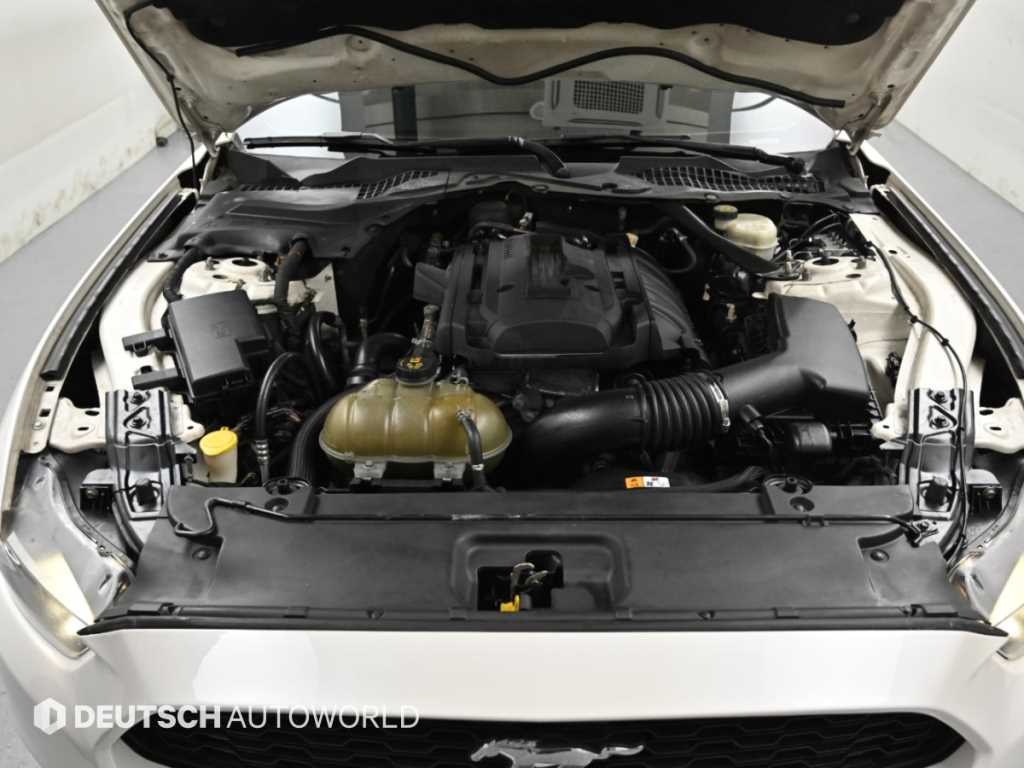 Ford Mustang — photo 06
