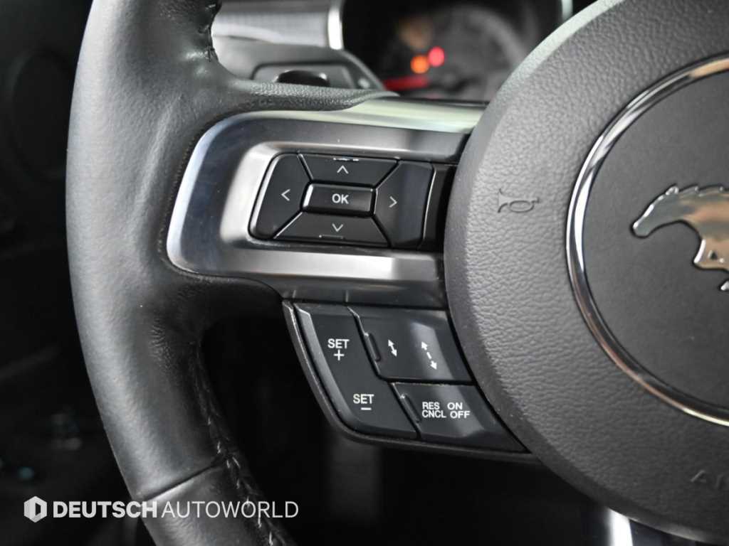 Ford Mustang — photo 16
