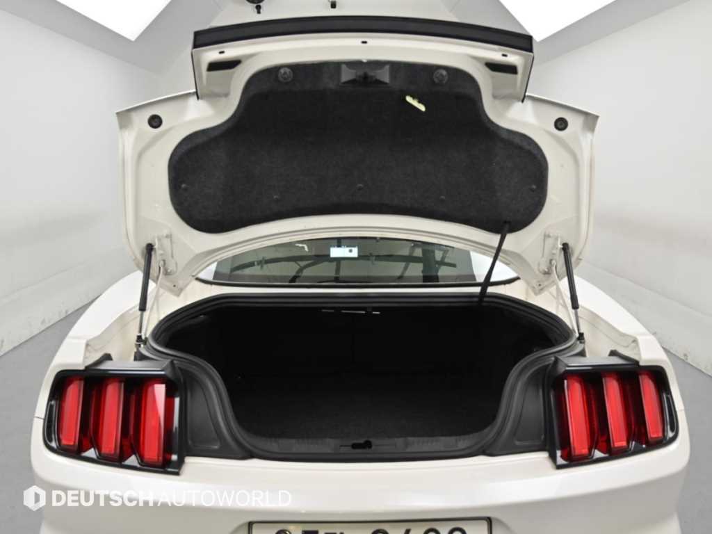 Ford Mustang — photo 19