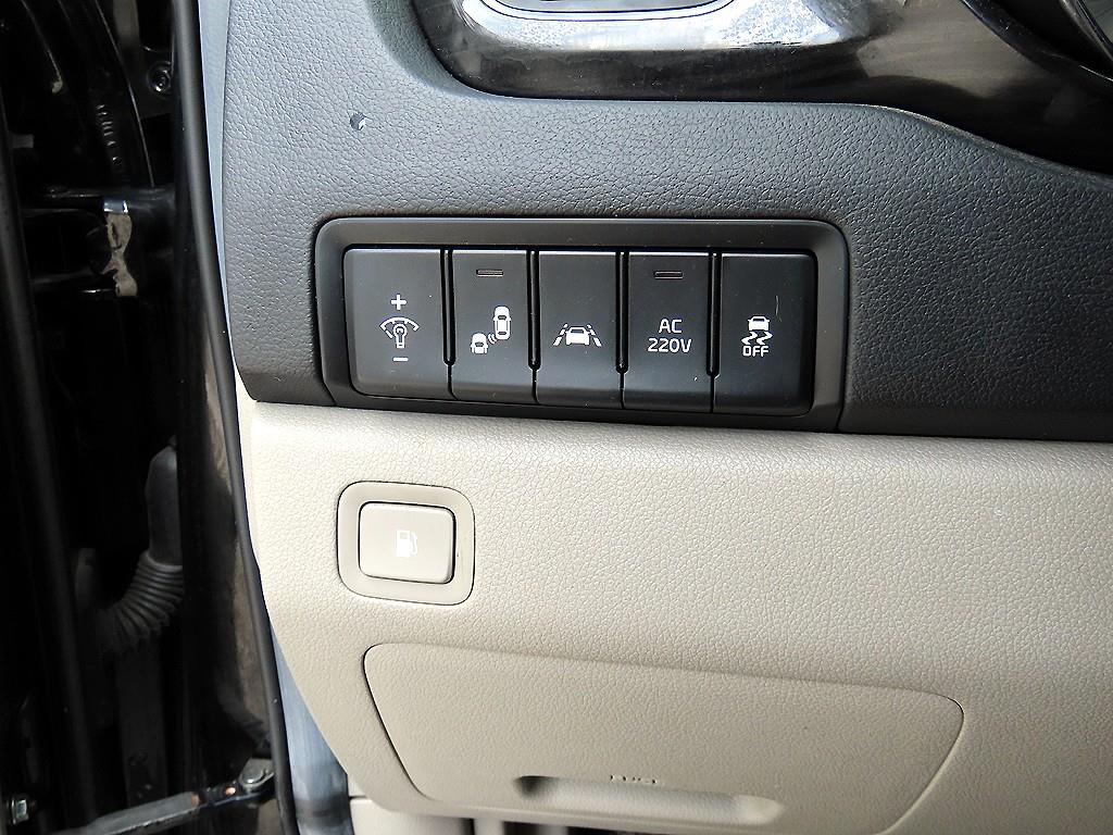 Kia Carnival — photo 12
