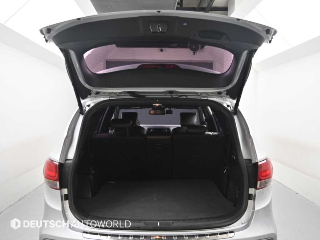 Hyundai Maxcruz — photo 19