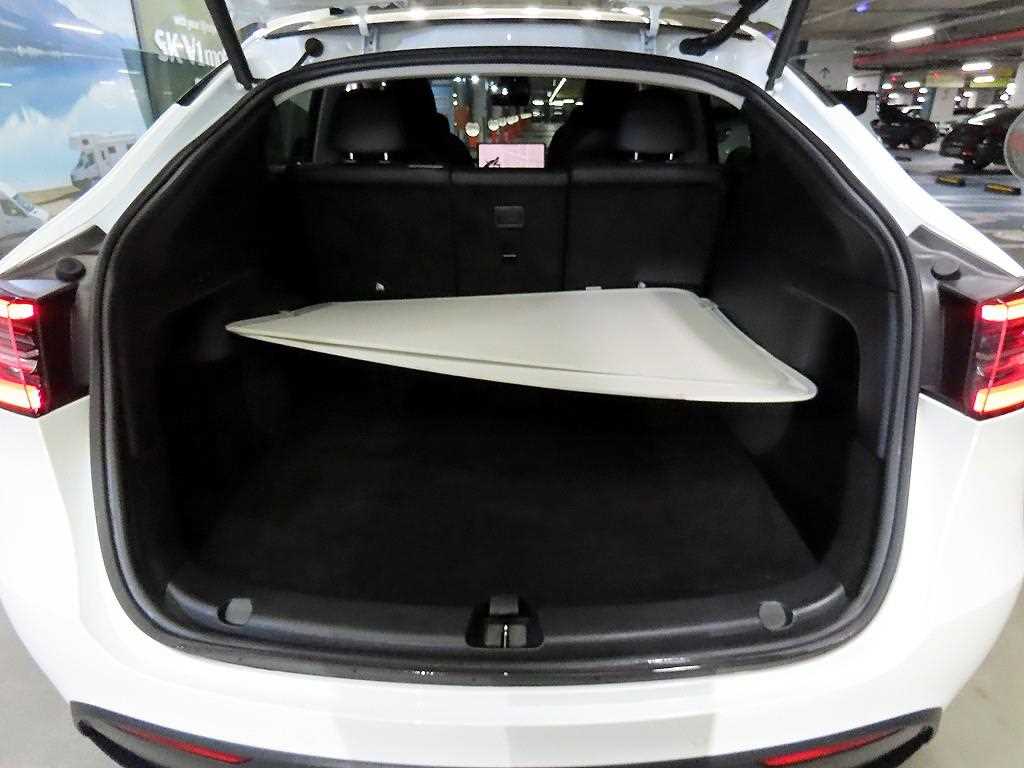 Tesla Model Y — photo 17