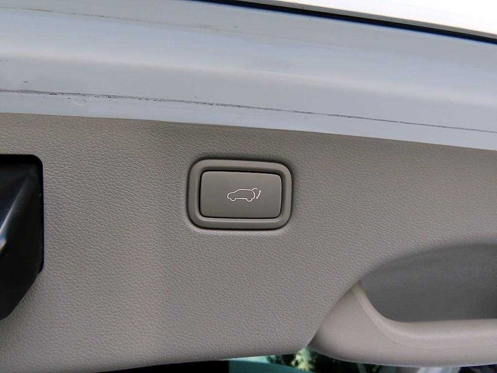 Kia Carnival — photo 16