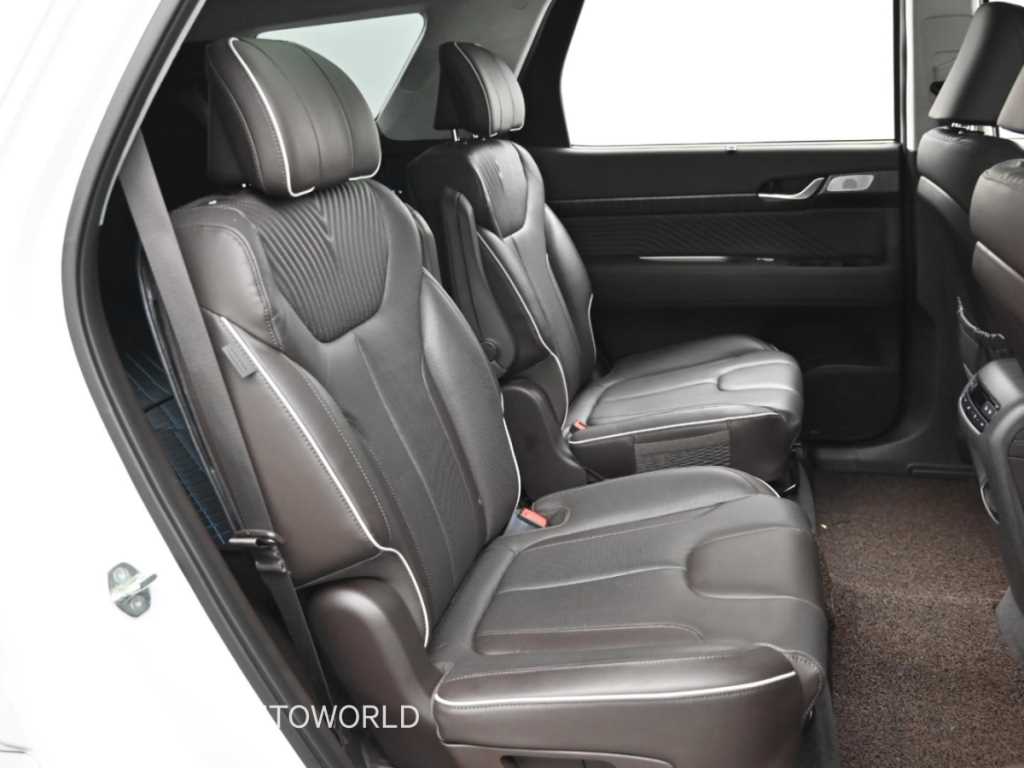 Hyundai Palisade — photo 12