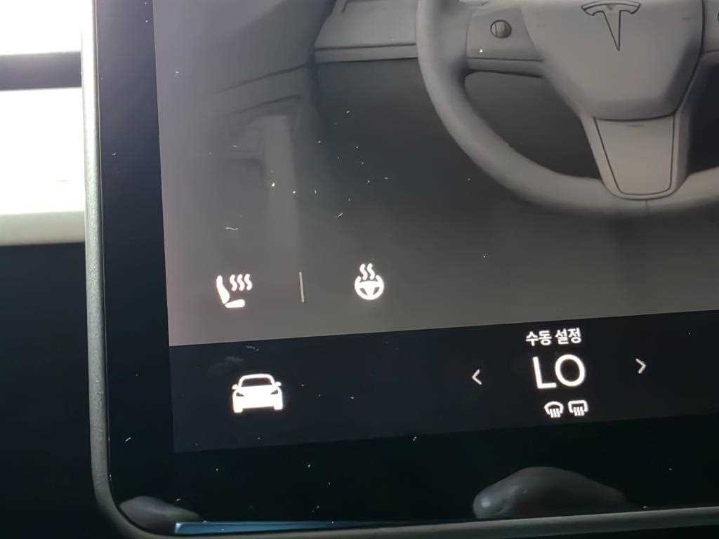 Tesla Model Y — photo 15