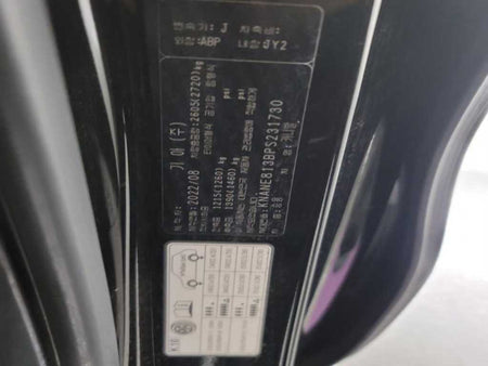 Kia Carnival — photo 10