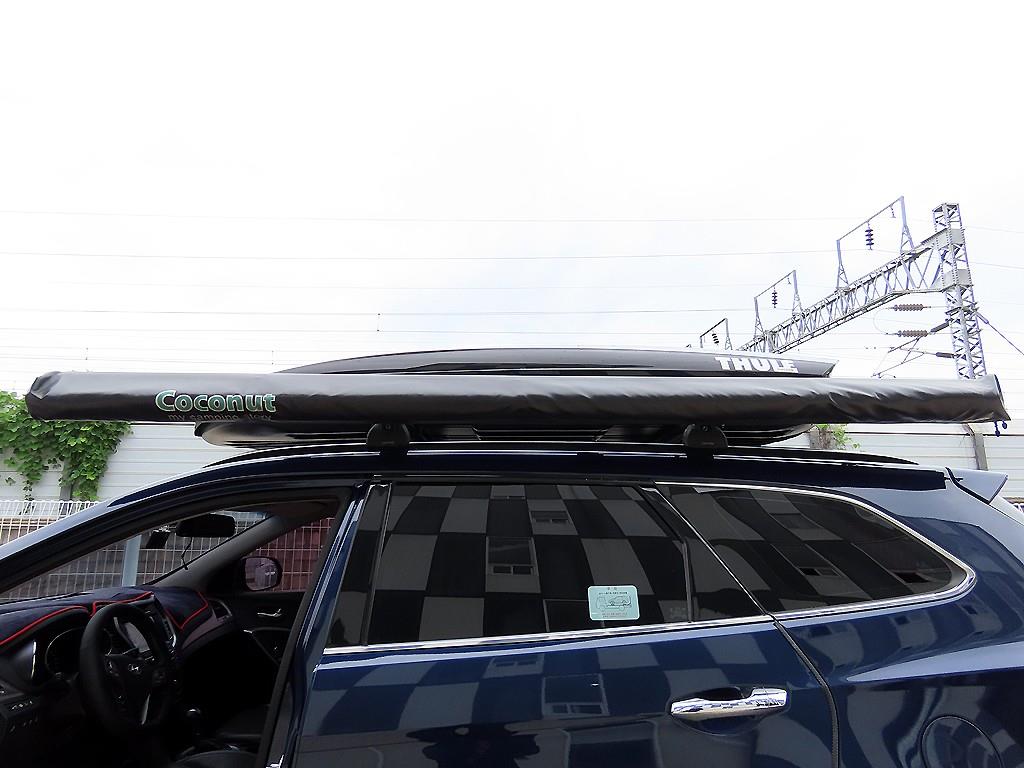 Hyundai Maxcruz — photo 17