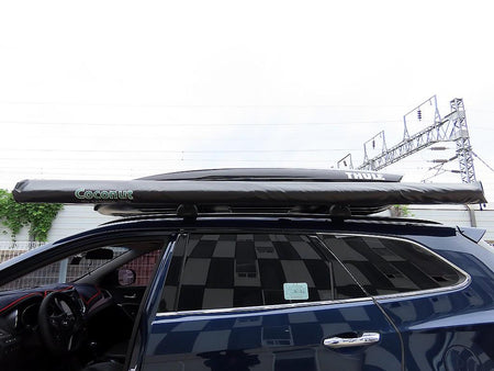 Hyundai Maxcruz — photo 17