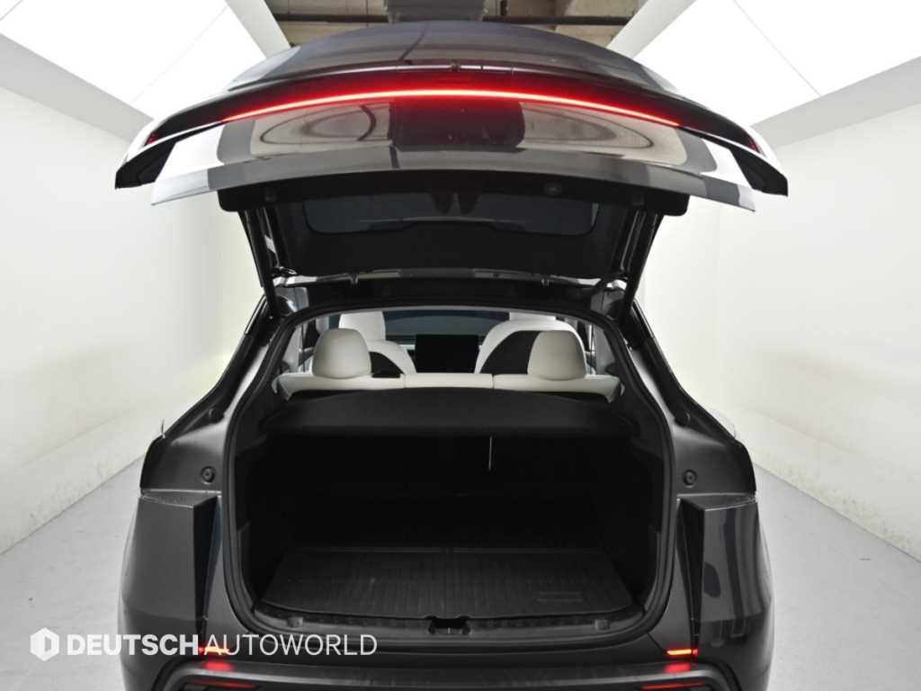 Tesla Model Y — photo 19