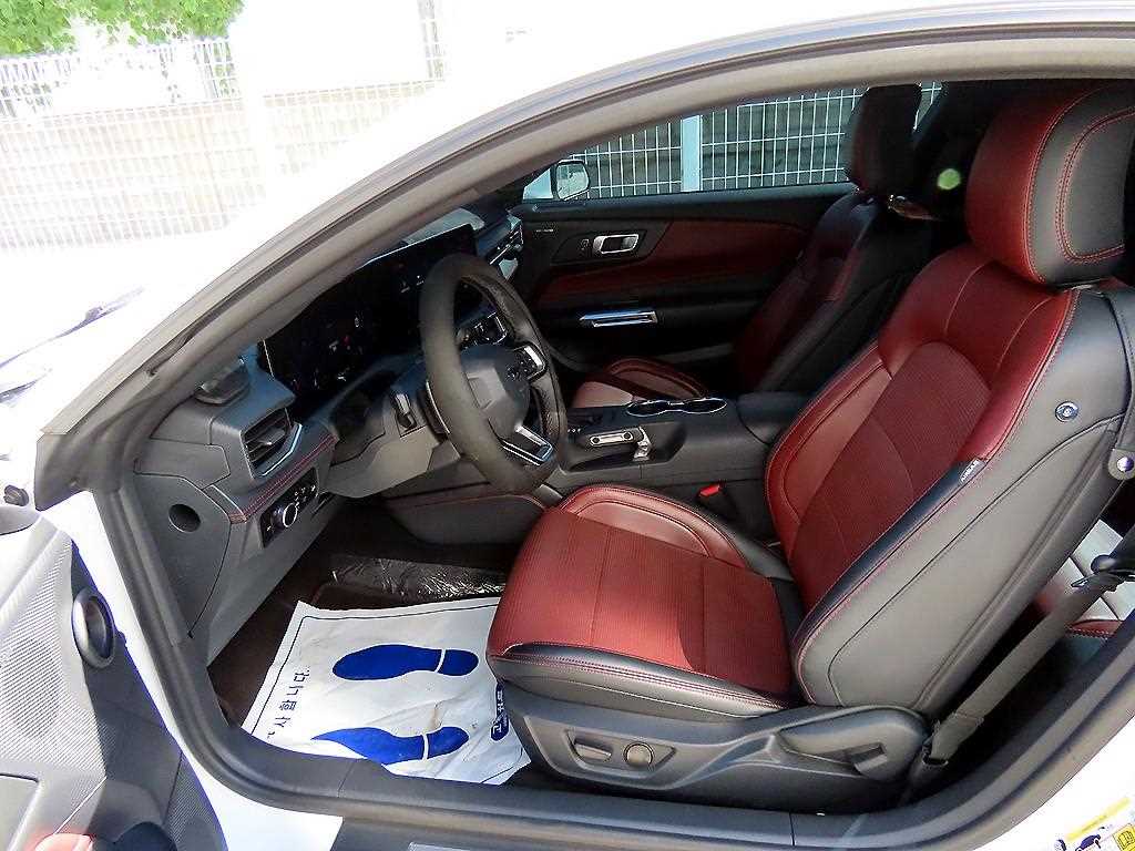 Ford Mustang — photo 06