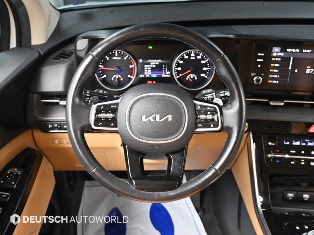 Kia Carnival — photo 13