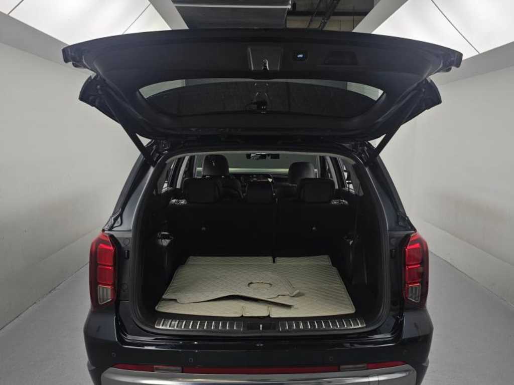 Hyundai Palisade — photo 19