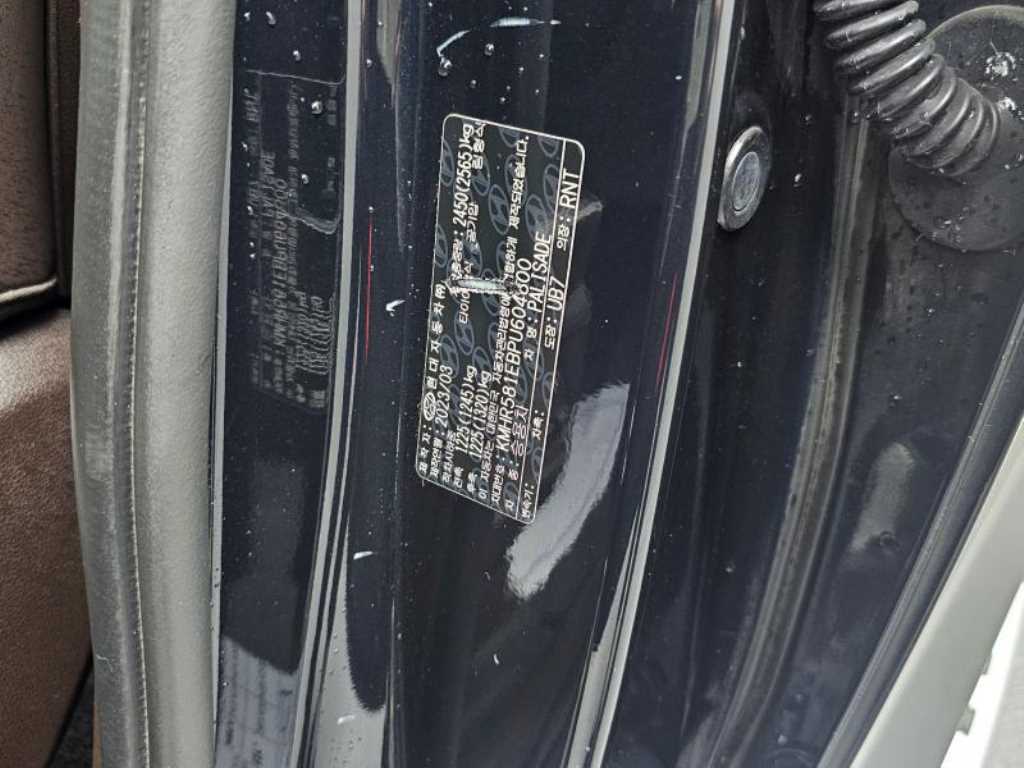 Hyundai Palisade — photo 20