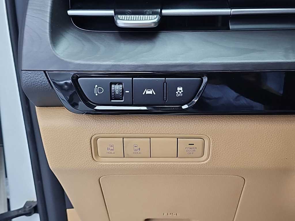 Kia Carnival — photo 18
