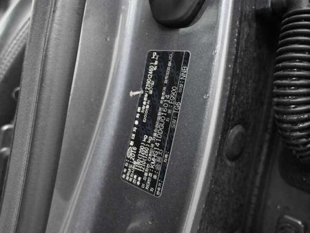 Genesis EQ900 — photo 20