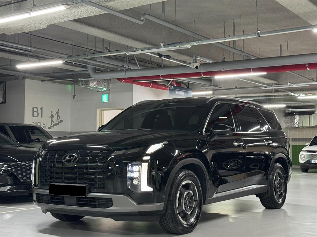 Hyundai Palisade — photo 01