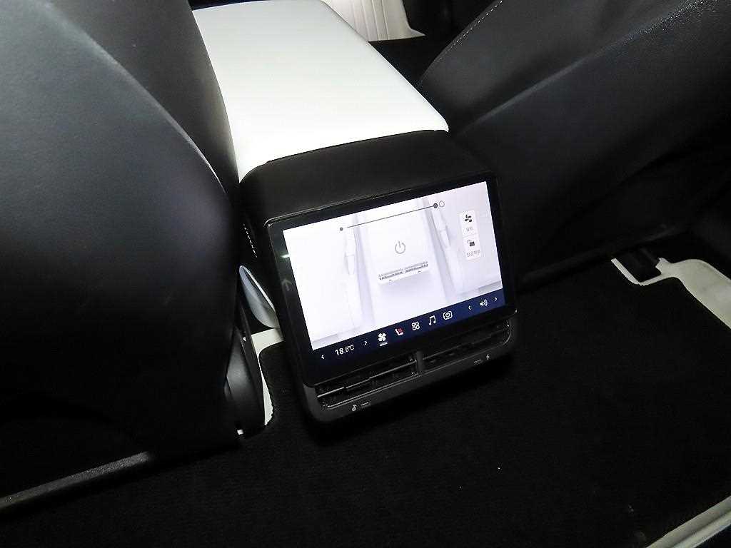 Tesla Model 3 — photo 16