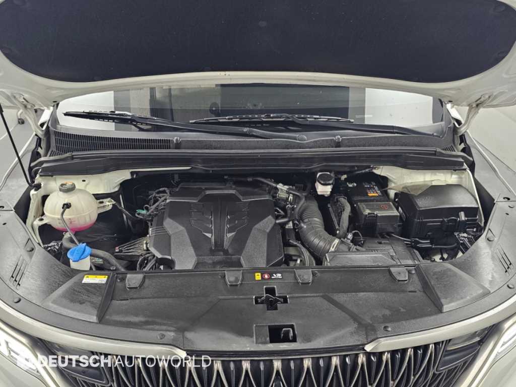 Kia Carnival — photo 06