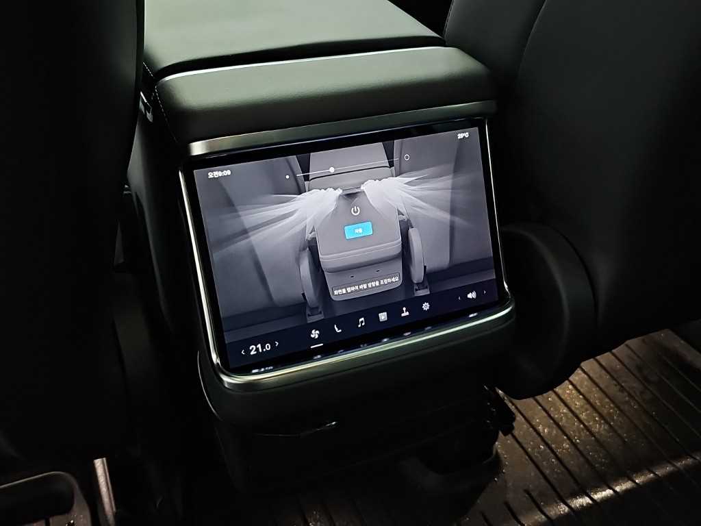 Tesla Model X — photo 13