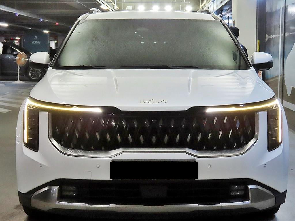 Kia Carnival — photo 02