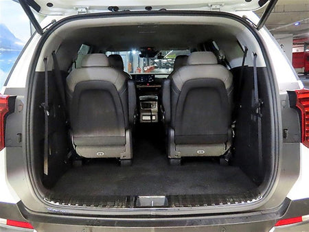 Kia Carnival — photo 16