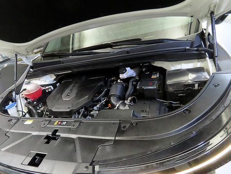 Kia Carnival — photo 19