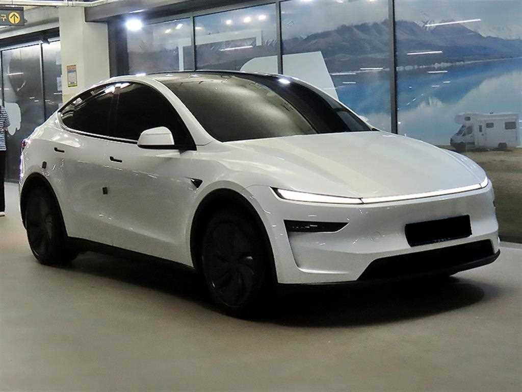 Tesla Model Y — photo 02