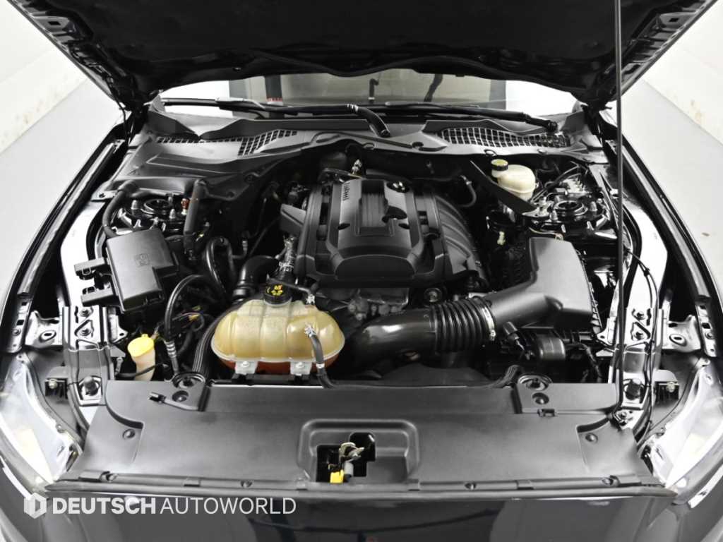 Ford Mustang — photo 06