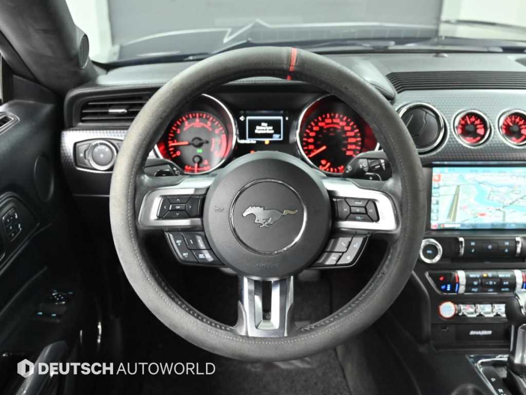 Ford Mustang — photo 13