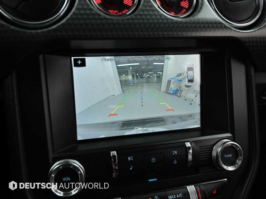 Ford Mustang — photo 15