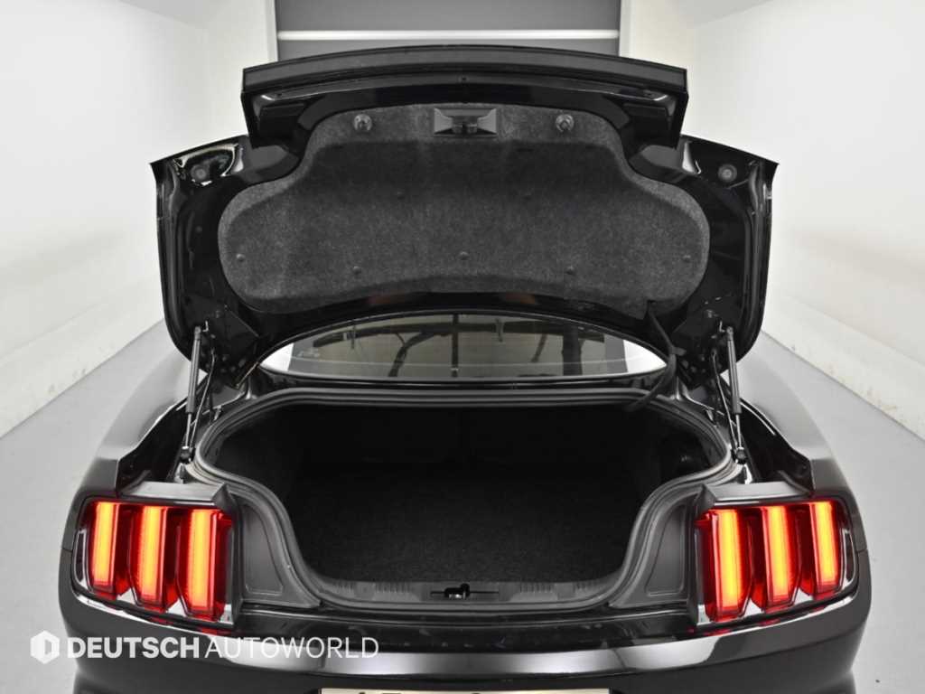 Ford Mustang — photo 19