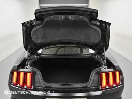 Ford Mustang — photo 19