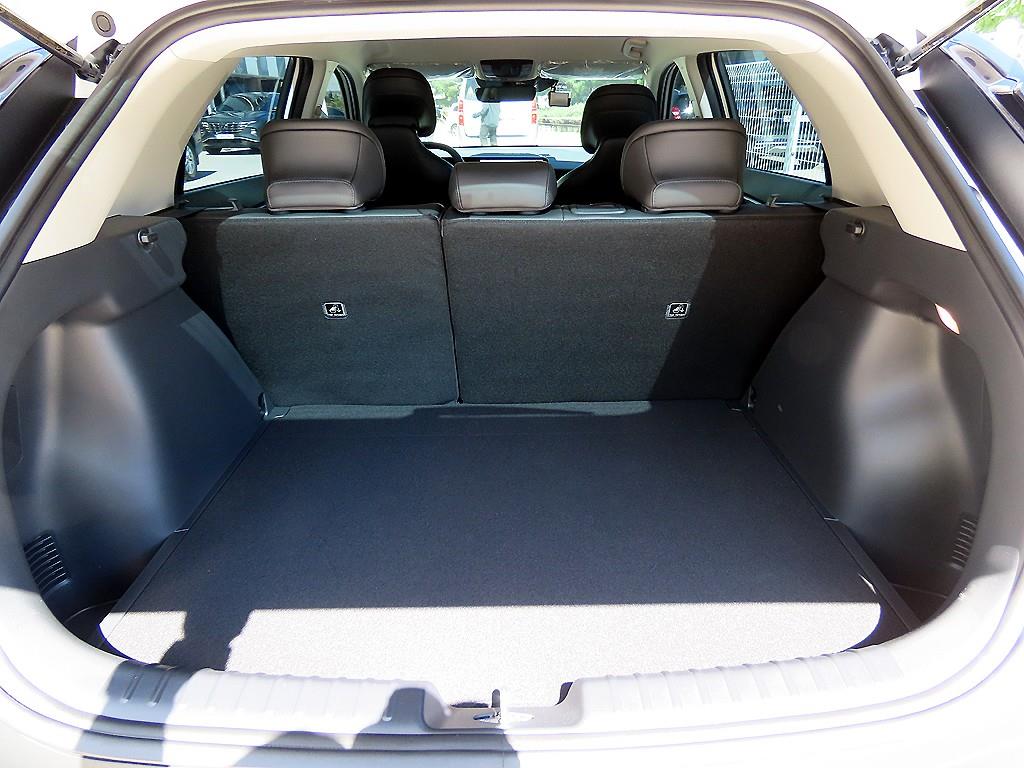 Kia Niro — photo 18