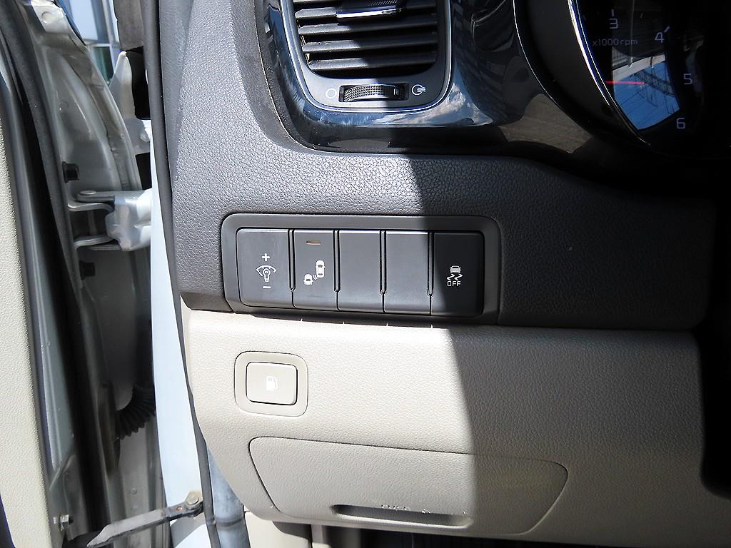 Kia Carnival — photo 13