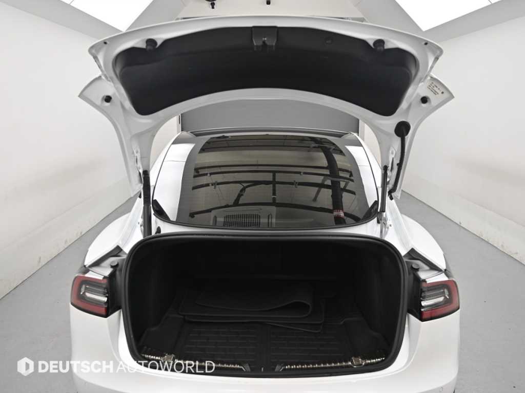 Tesla Model 3 — photo 19