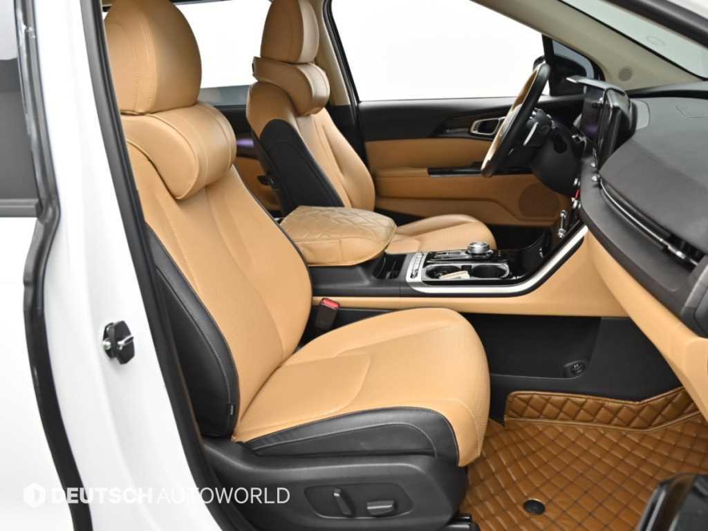 Kia Carnival — photo 10