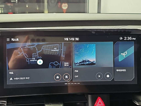 Kia Carnival — photo 16