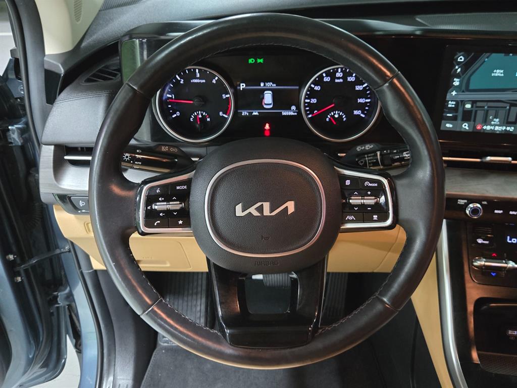 Kia Carnival — photo 10