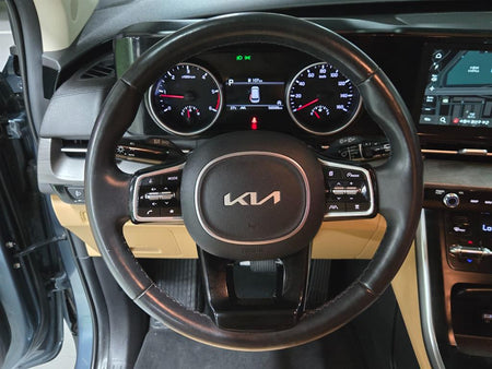 Kia Carnival — photo 10