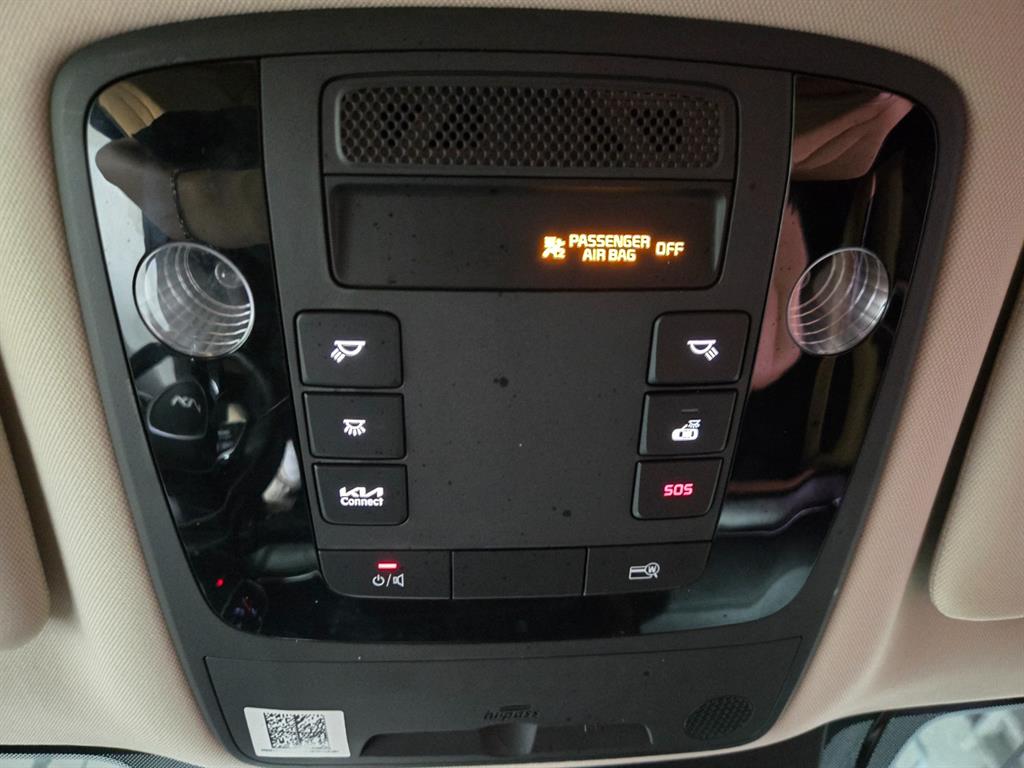 Kia Carnival — photo 14