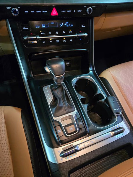 Kia Carnival — photo 15