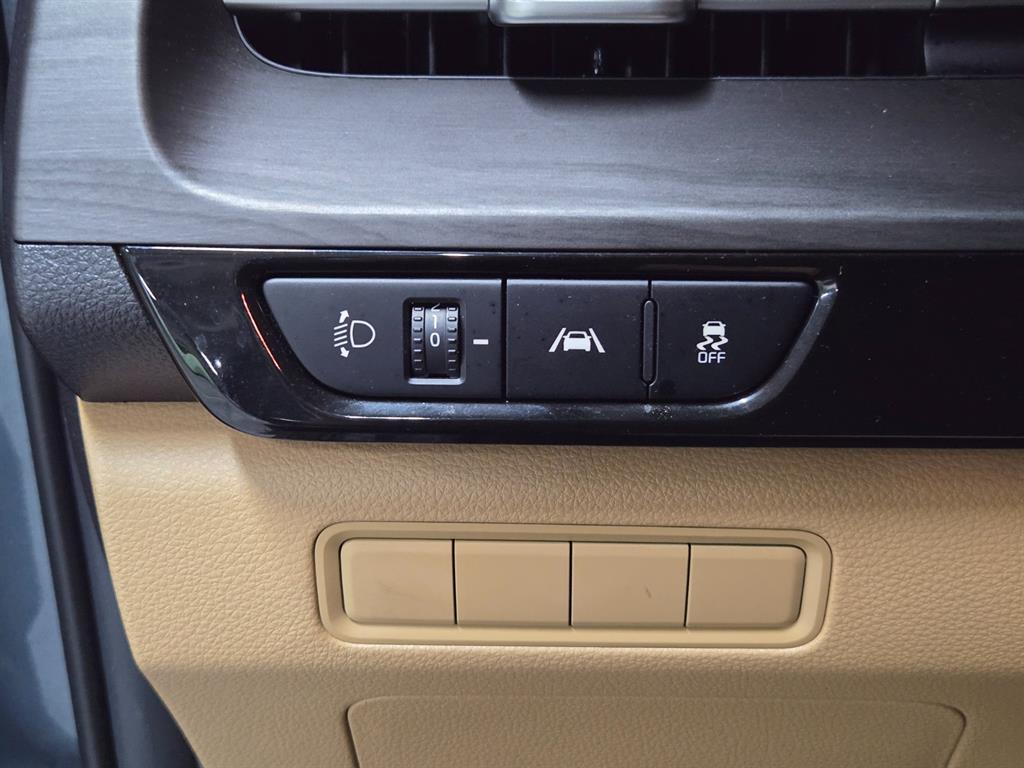 Kia Carnival — photo 17